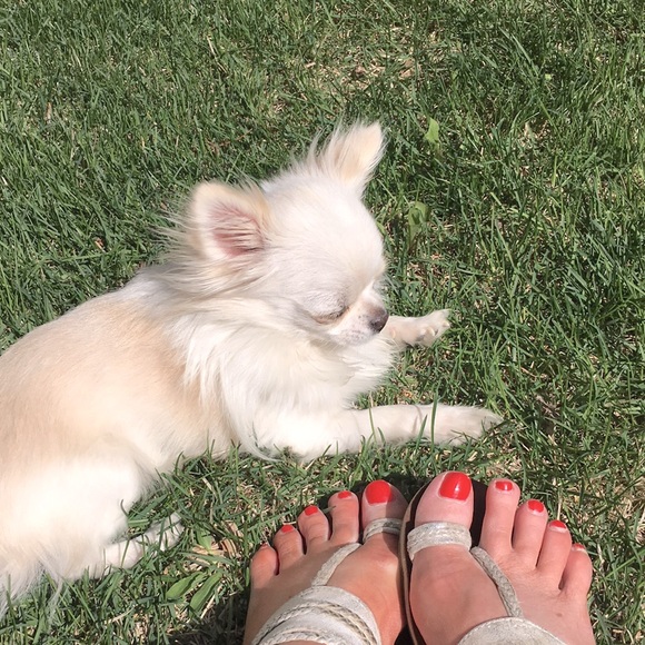 Meet your Posher, Cathi - Picture 2 of 2